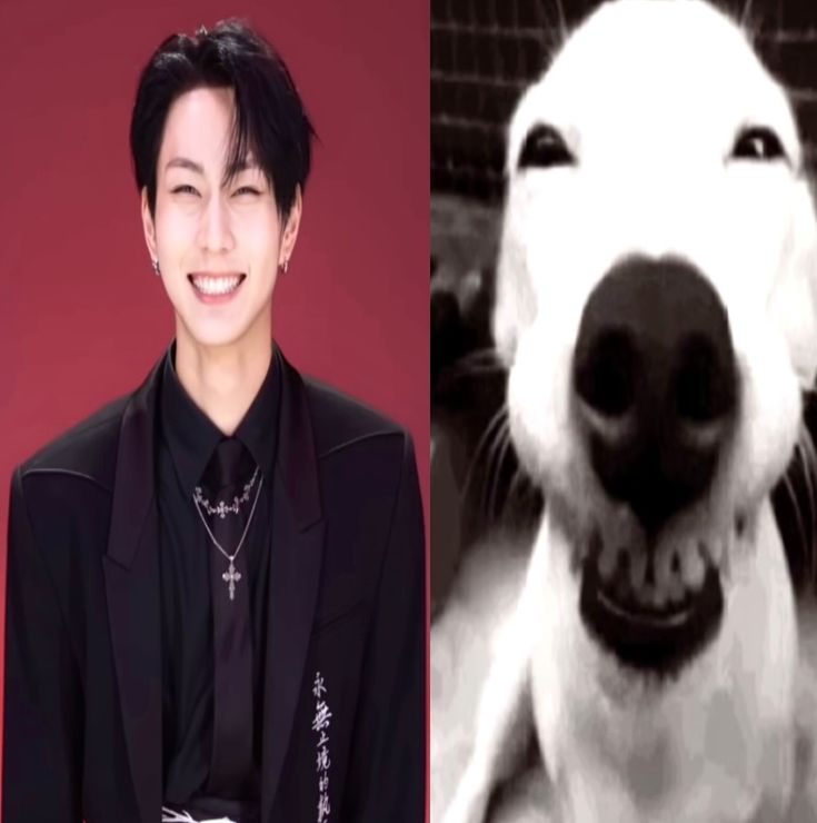 𖦹 ᥒᥲrᥲ 🍰 | EN- IS 7 tweet media