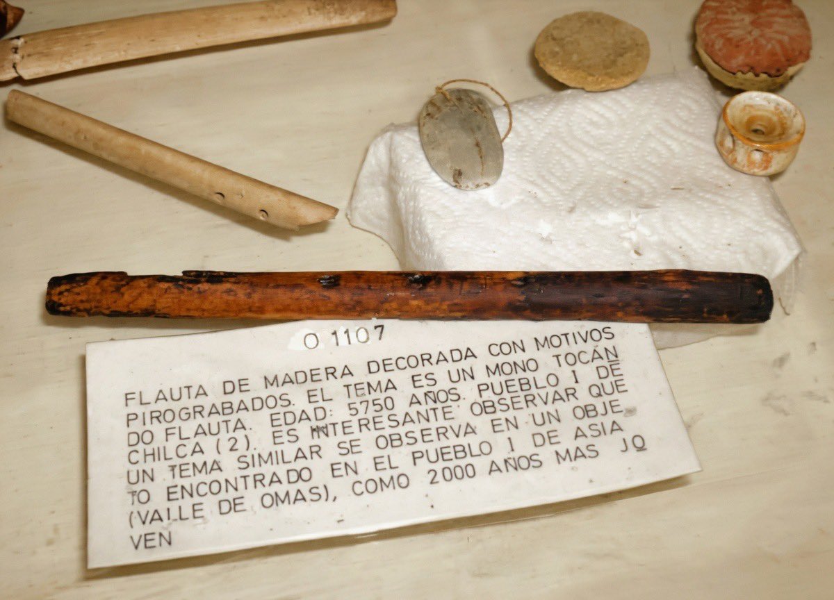 alb_giraldo's tweet photo. El artefacto sonoro arqueológico más antiguo identificado hasta la fecha en el #Perú, es una quena de madera hallada en Pueblo 1 de #Chilca, con una datación histórica de 5750 años antes del presente (3750 a.C.). Fue descubierta en la década de los 1970 en el interior del fardo funerario de un adulto de 35 años por el Dr. Fréderic Engel, arqueólogo suizo dedicado a estudiar la historia prehispánica de la costa central del Perú.

Aunque Engel estimó inicialmente una antigüedad de 7000 años, el fechado del cementerio, en donde fue hallada la flauta, está en un rango temporal que va del 4086 al 3491 a.C. A pesar de la corrección de su fecha de datación, continúa siendo el instrumento musical más antiguo del Perú y uno los primeros ejemplos conocidos en #América.

Este instrumento musical de aire está construido en madera de caña y decorado con la técnica de pirograbado, en donde
representa personaje de pie tocando la flauta. Las dimensiones de la quena son de 230 mm de largo con 17mm de diámetro. Se encuentra depositado en el Museo de Arqueología y Agricultura Precolombina del Centro de Investigación de Zonas Áridas [CIZA] de la Universidad Agraria.

Sin embargo, es probable que existan artefactos sonoros más antiguos en el Perú. Un ejemplo de ello son los ‘sonajeros’ hechos de mates hallados en las excavaciones del Cerro la Paloma (6.000 a.C. a 3.000 a.C.), en la Costa Central, los cuales podrían haber sido utilizados como instrumentos musicales en el un contexto chamanístico asociado con el consumo de plantas con propiedades alucinógenas.