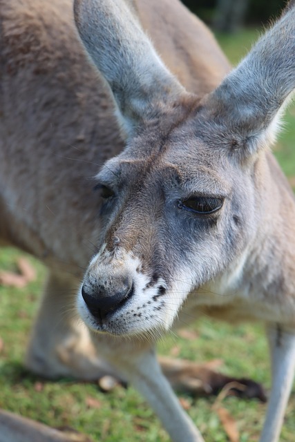 Rama Beardsley tweet media