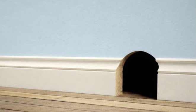 Mr305.eth | 0037.eth tweet media