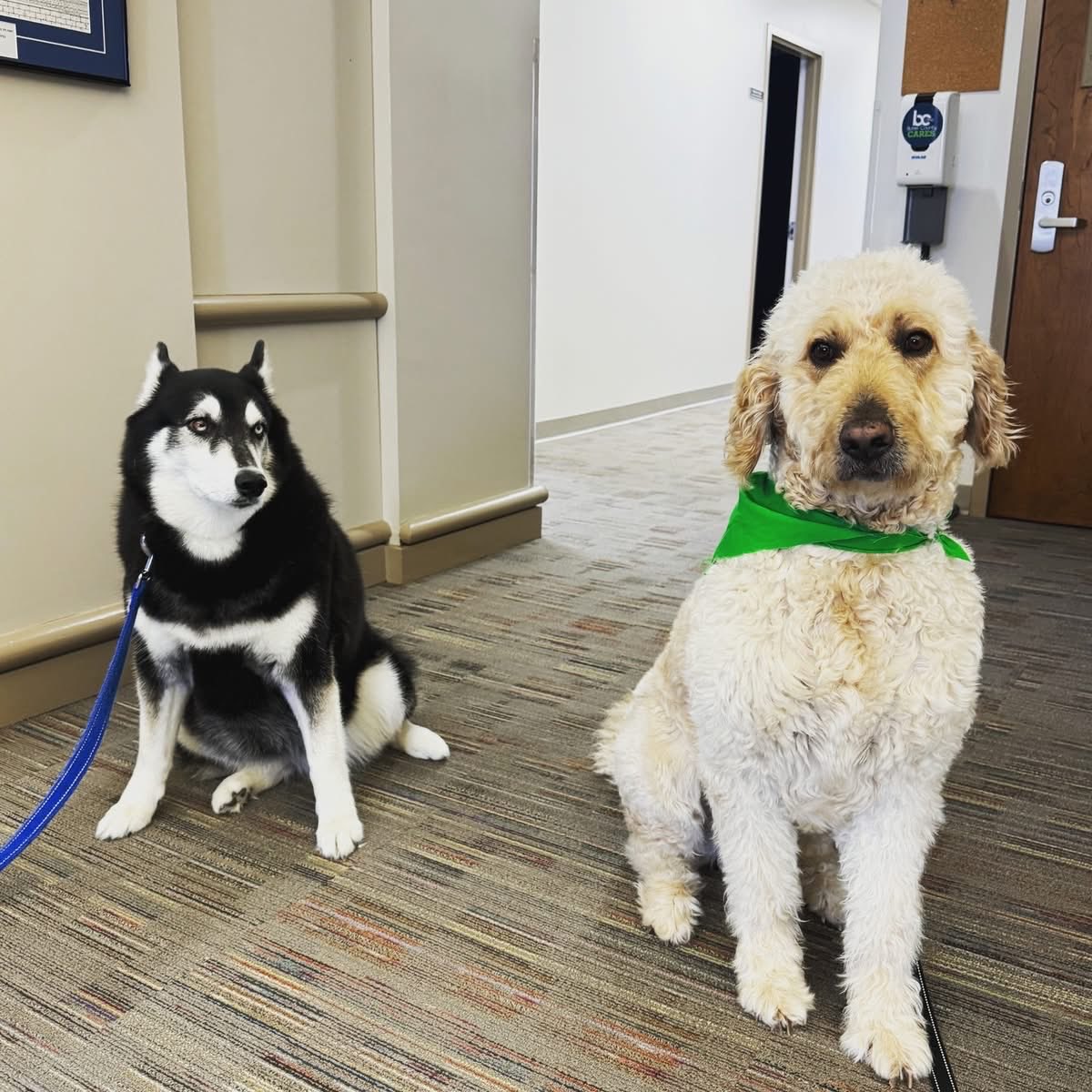 Hamilton City School District tweet media