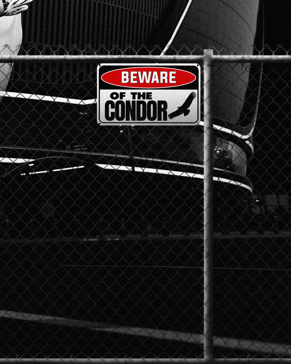 THE NATION tweet media