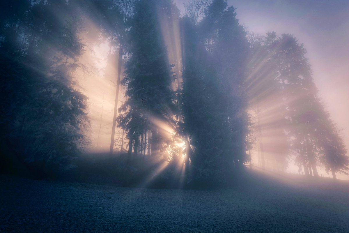 Gordana Biernat tweet media