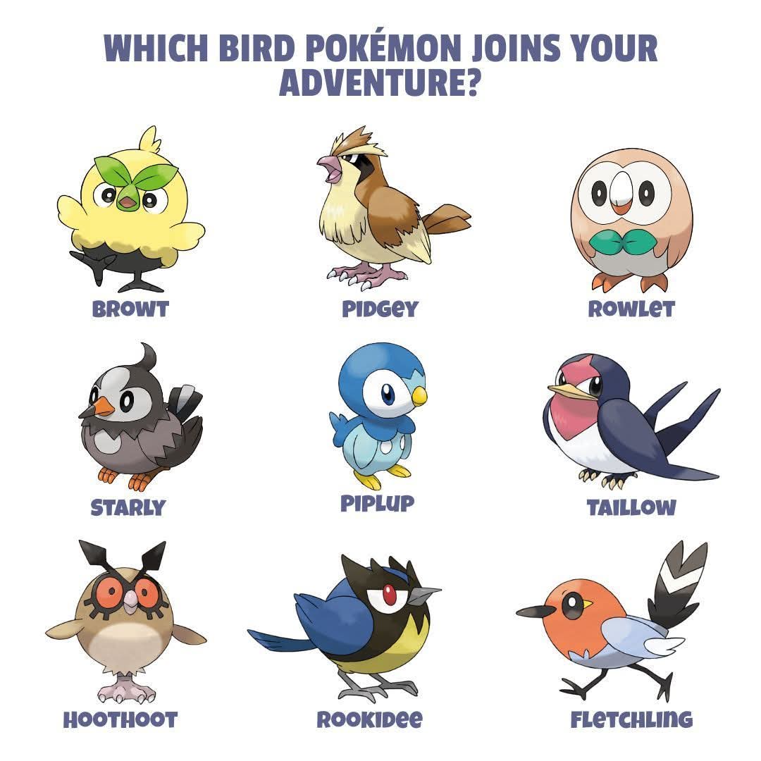 MAGIKARP🦈💦 tweet media