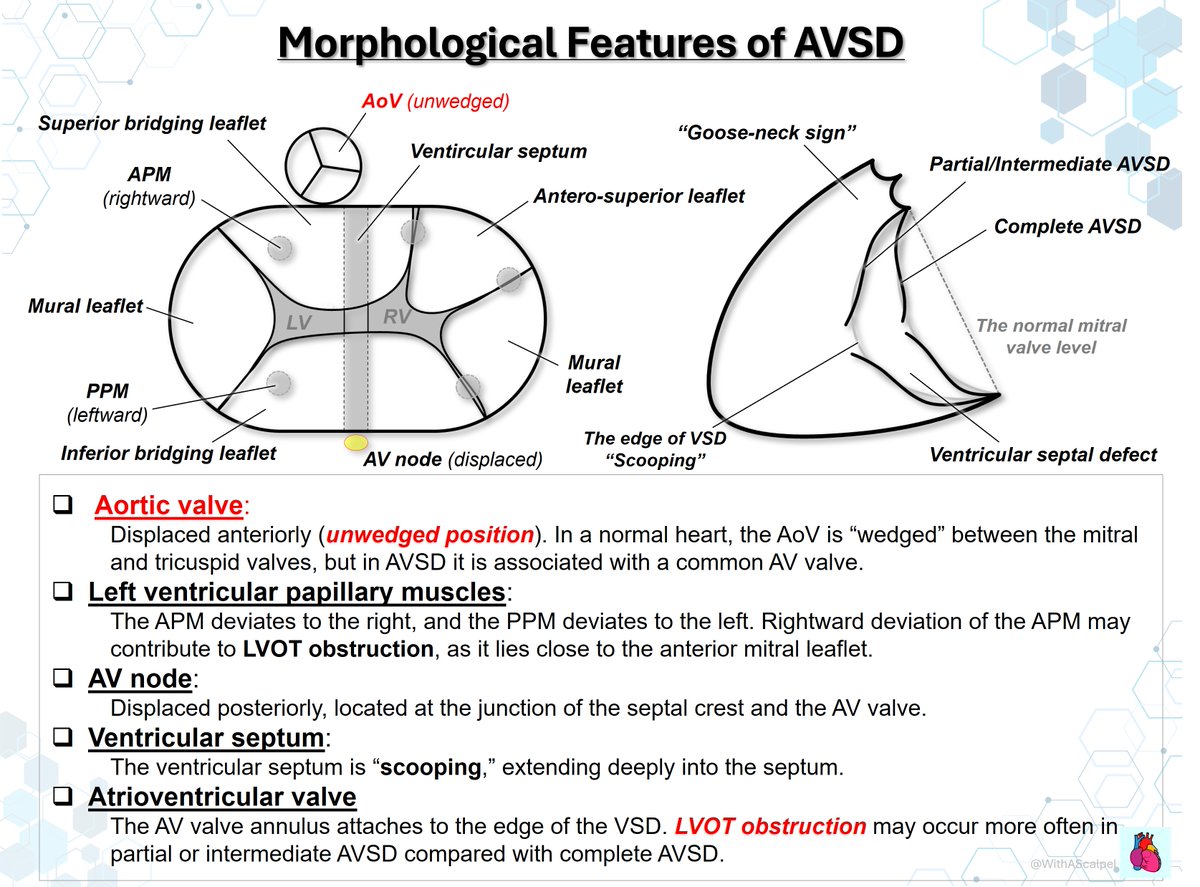 WithAScalpel tweet media