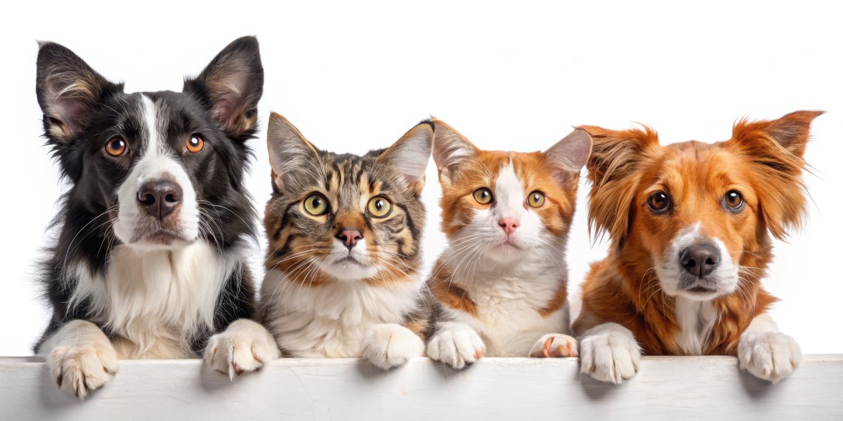 La Mirada Public Safety tweet media