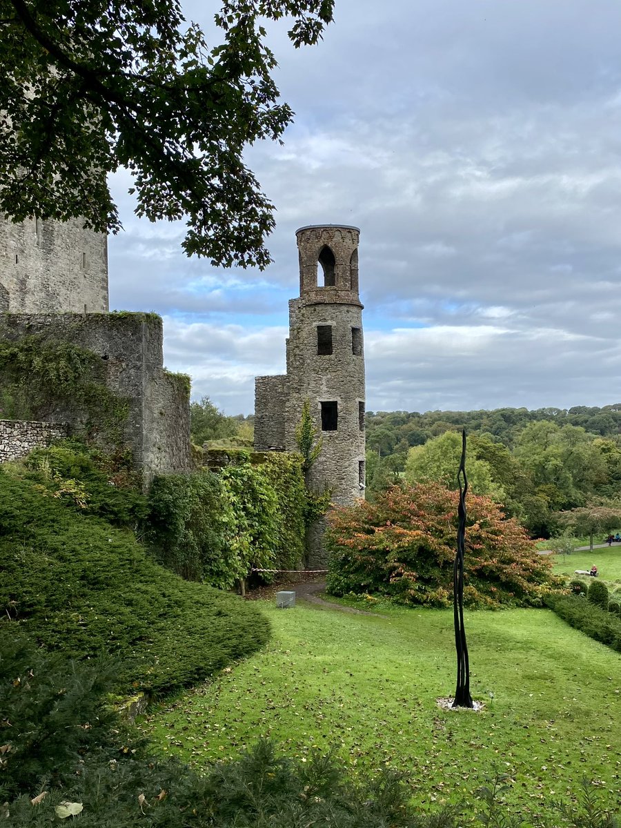 Selecta Jerry tweet media