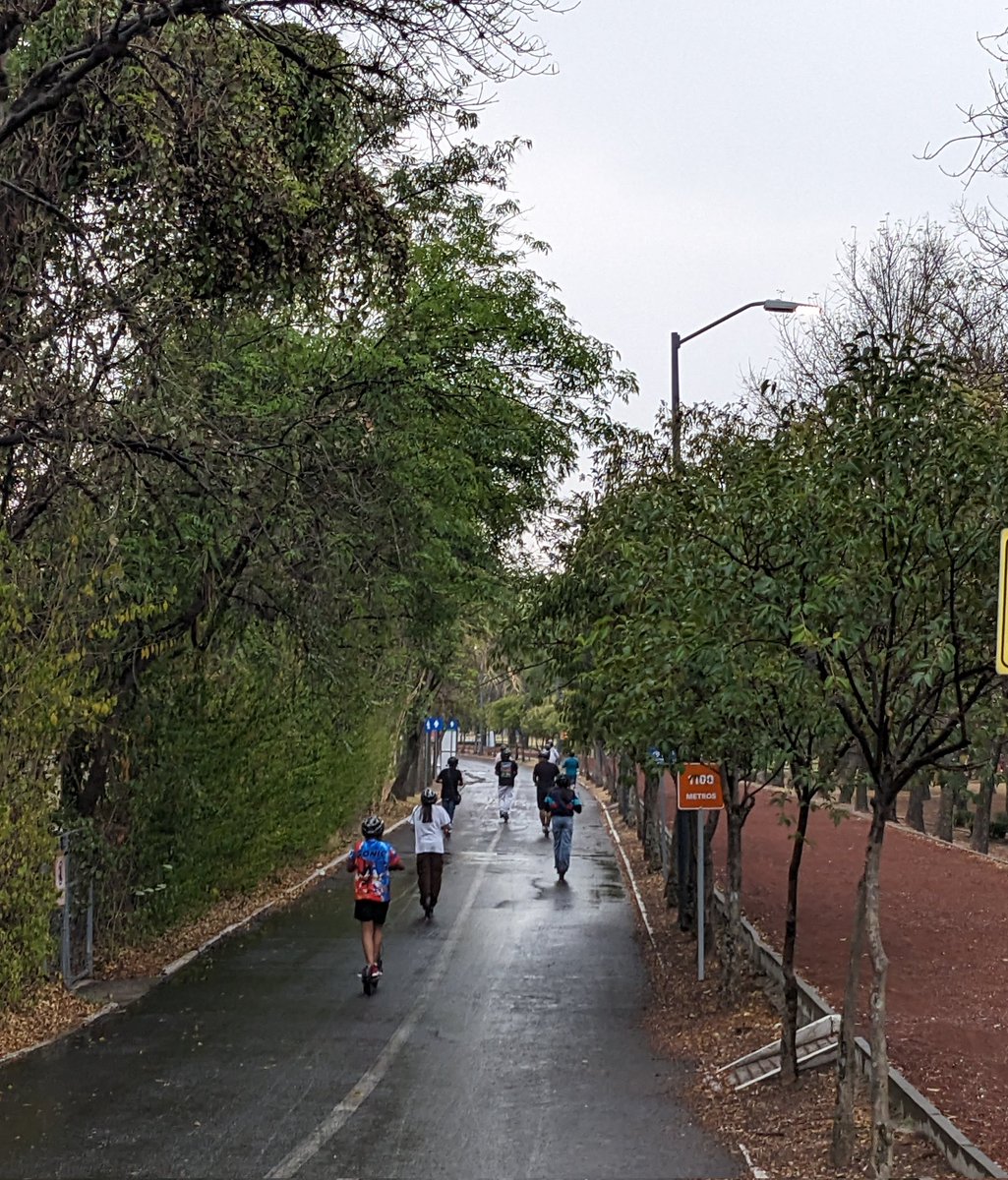 Rodadas Puebla tweet media