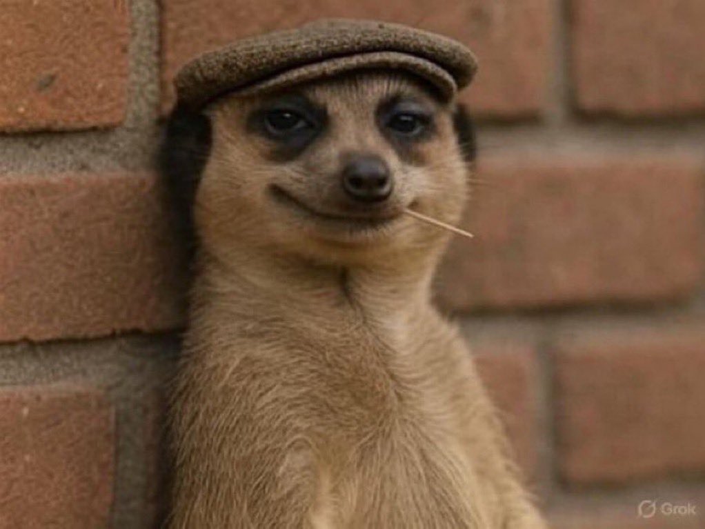 𝓲𝓬𝓮 tweet media