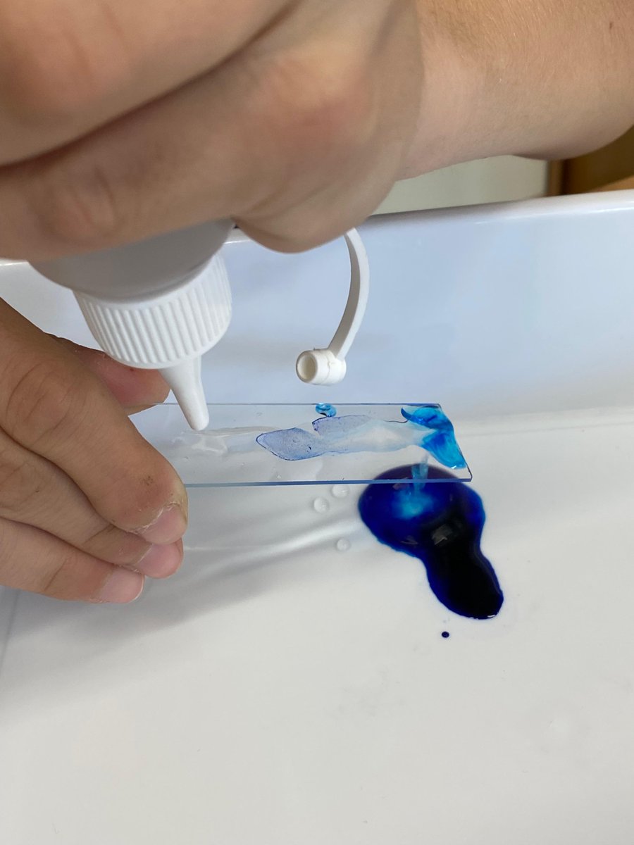 CdA Valls d'Àneu tweet media