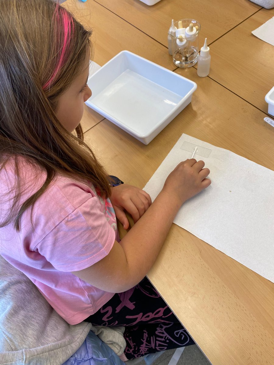 CdA Valls d'Àneu tweet media