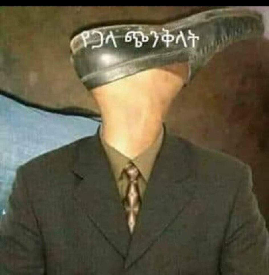 EriLion 💎 tweet media