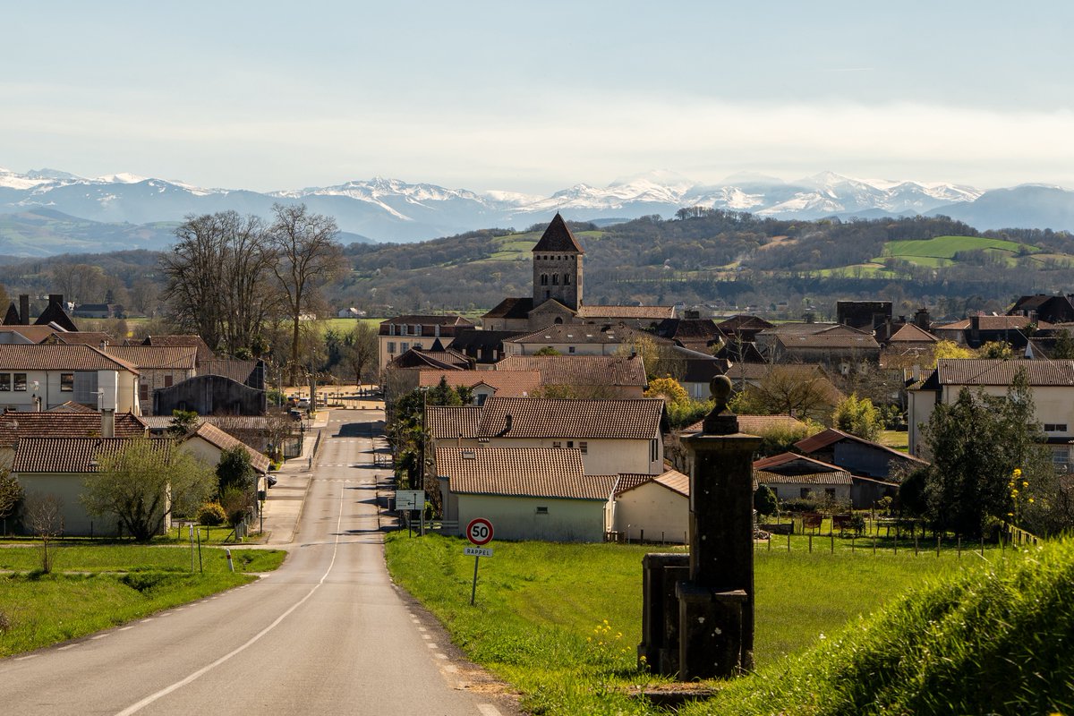 Raphael Barberi📷 tweet media