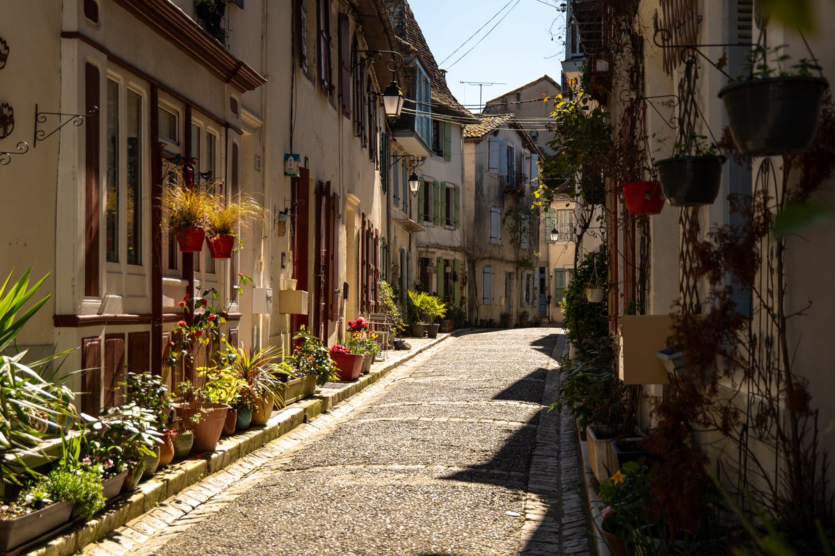 Raphael Barberi📷 tweet media