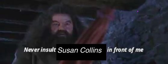 𝖓𝖎𝖓𝖊 🕯 tweet media