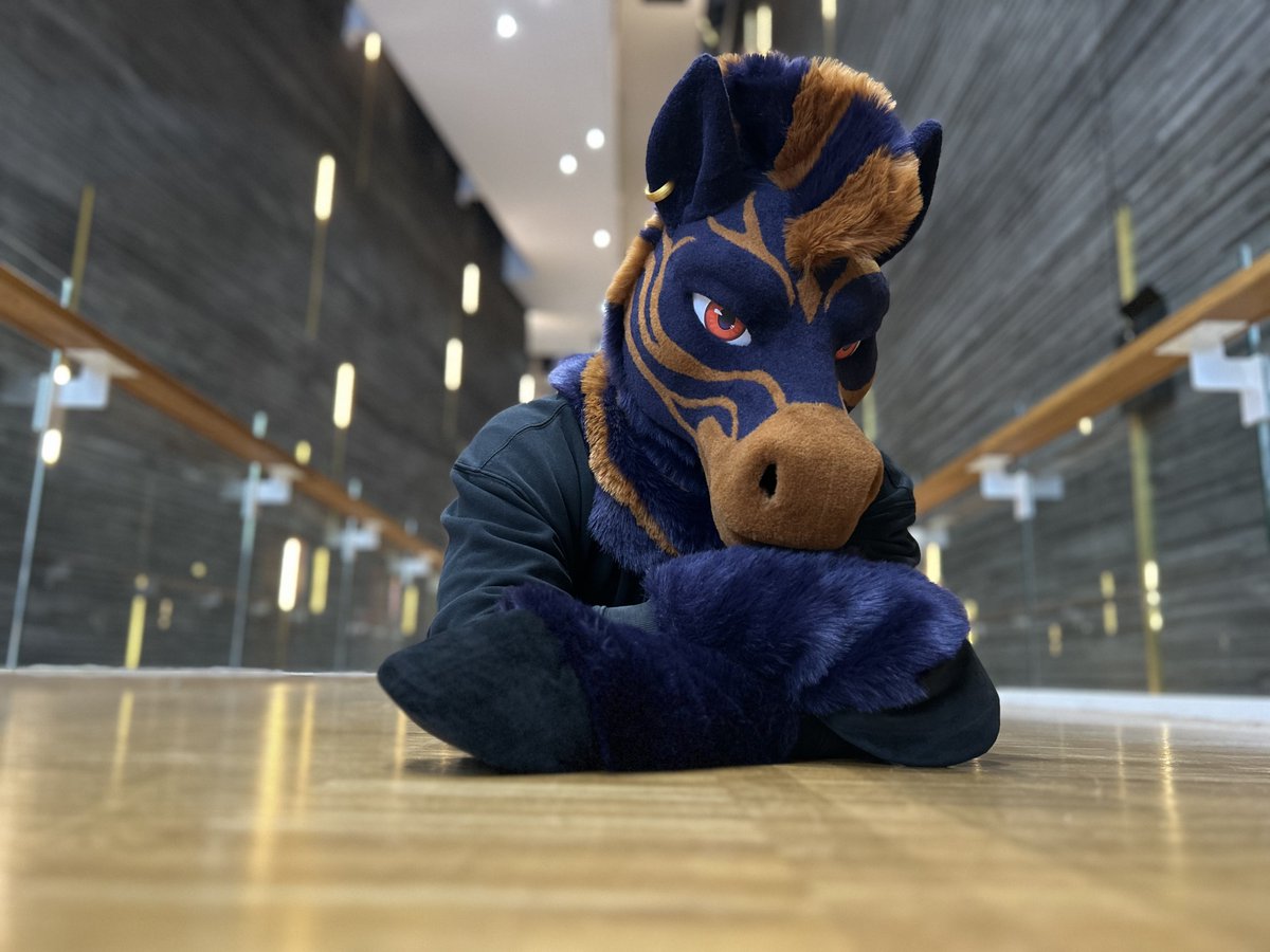 Houndmade Suits 🔜 CFZ tweet media