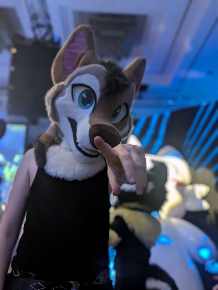 Houndmade Suits 🔜 CFZ tweet media