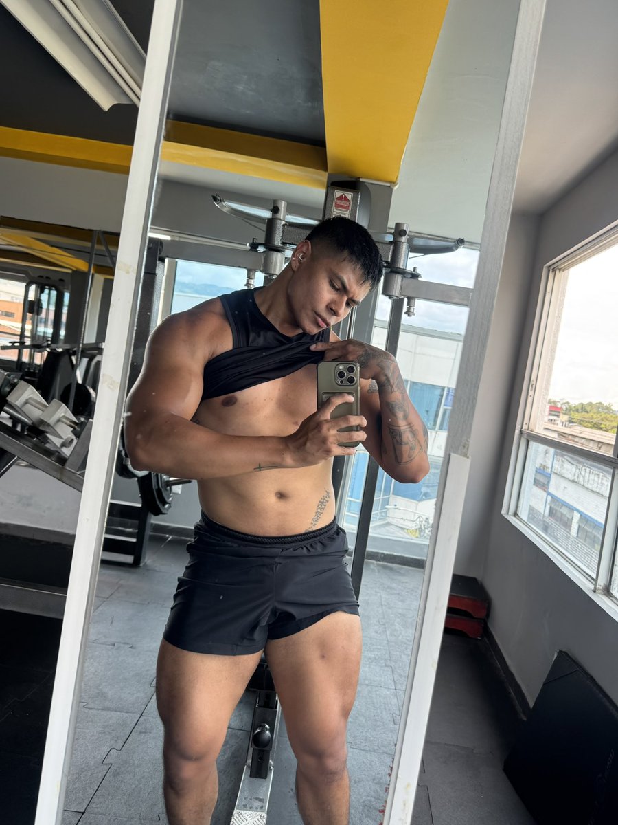 sebastian tweet media