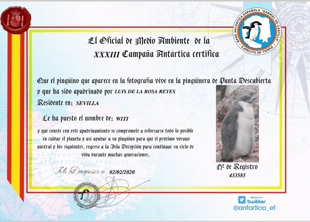 Lurorey_'s tweet photo. @Antartica_ET Hace unos años apadrine un pingüino y quería preguntar si sería posible saber algún dato de el. Estaría muy agradecido, ya que más allá de ser una graciosa anécdota para regalar a tus seres queridos, siento algo de necesidad de preguntar por ellos. Gracias😊 https://t.co/PKC5v3SkDF
