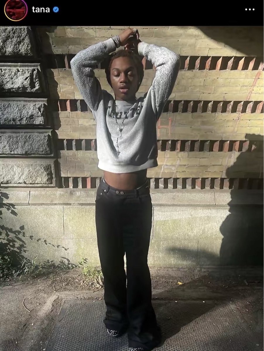 Unreleased Tana tweet media