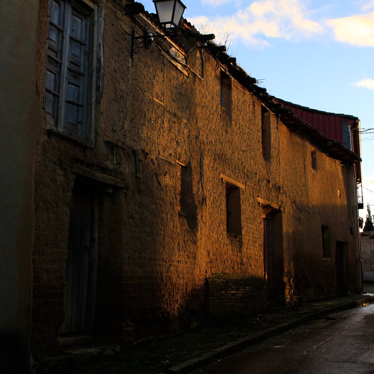 maría 🌾 tweet media