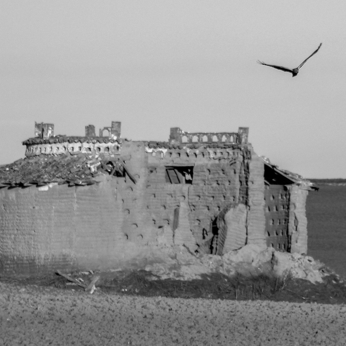 maría 🌾 tweet media