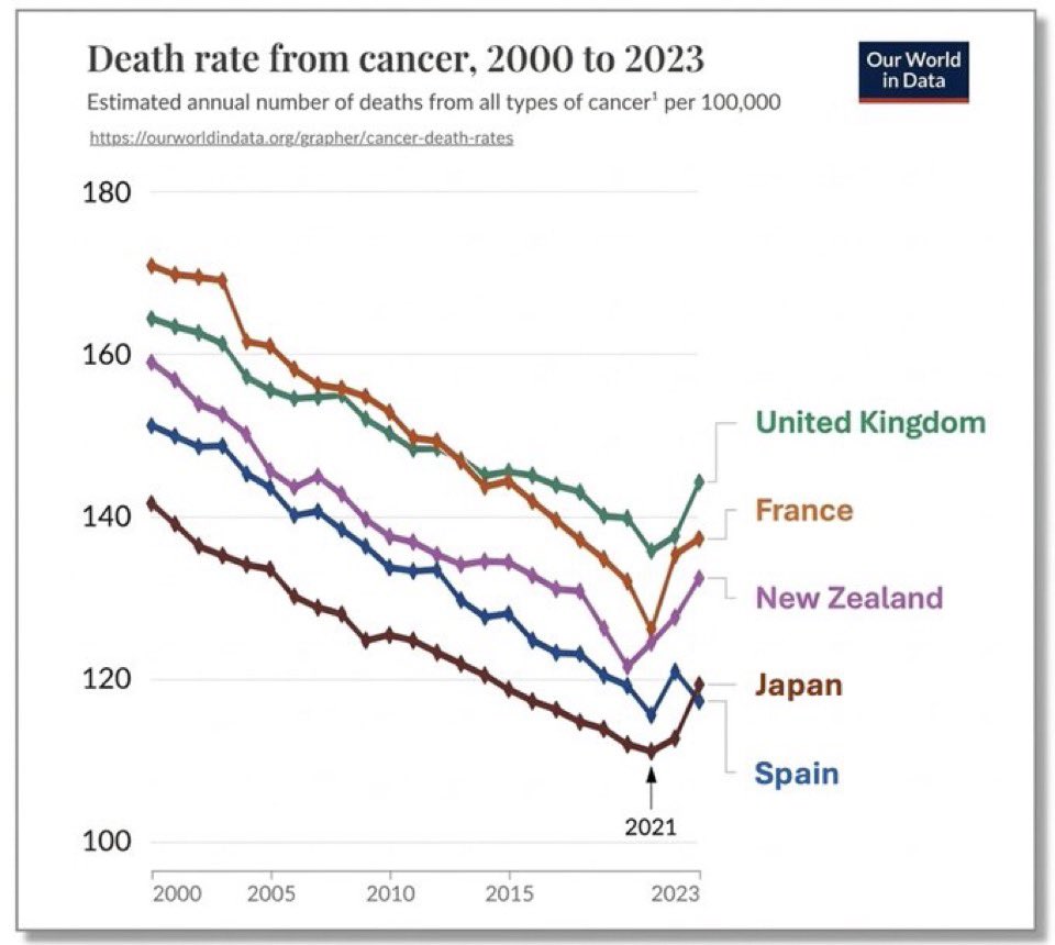 Liz Churchill tweet media