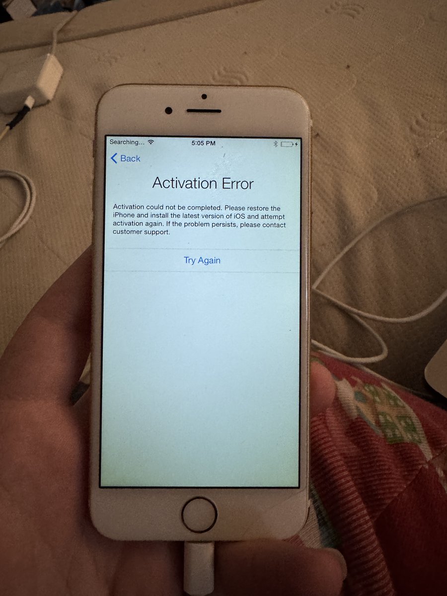 Asahi Scarlett (朝日すかーれっと) 🔥🌸 tweet media