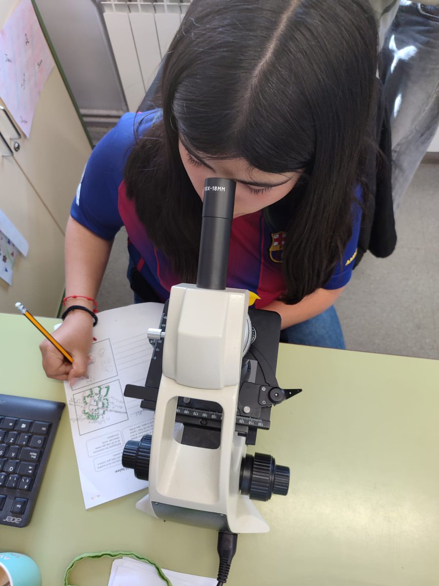 CdA Valls d'Àneu tweet media