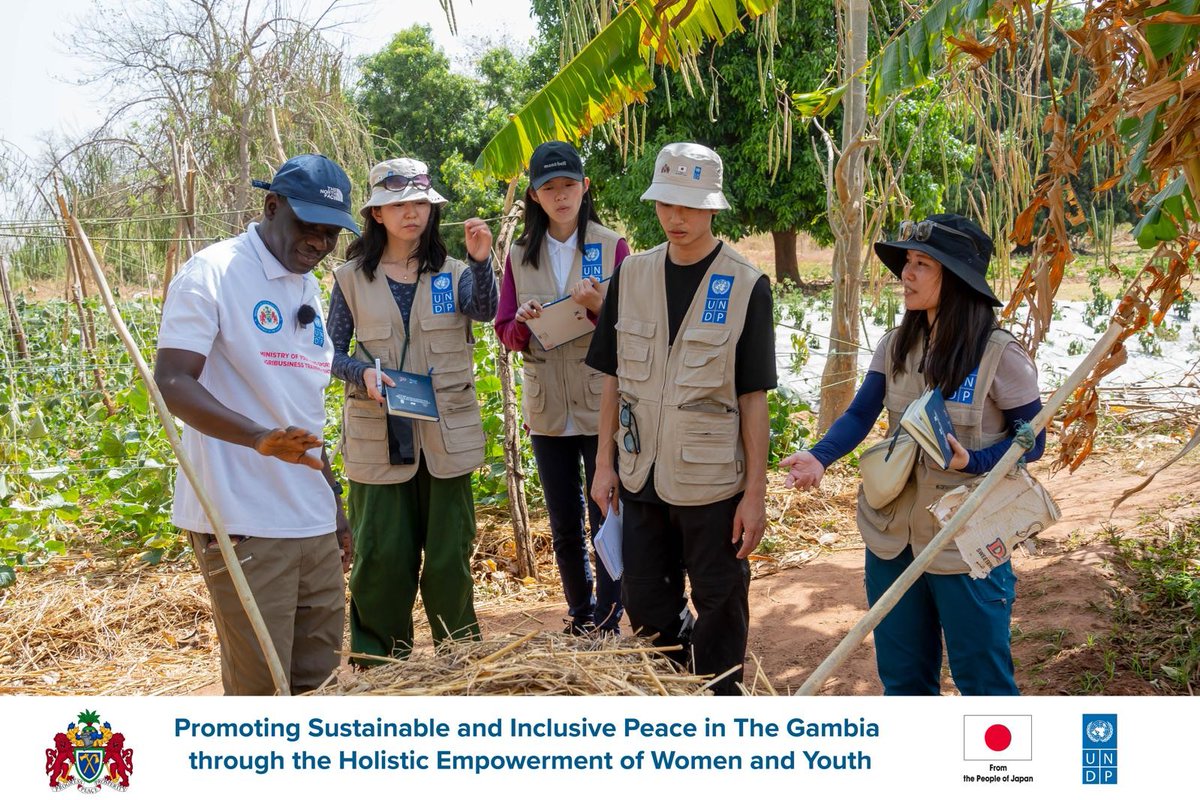 Mandisa Mashologu tweet media