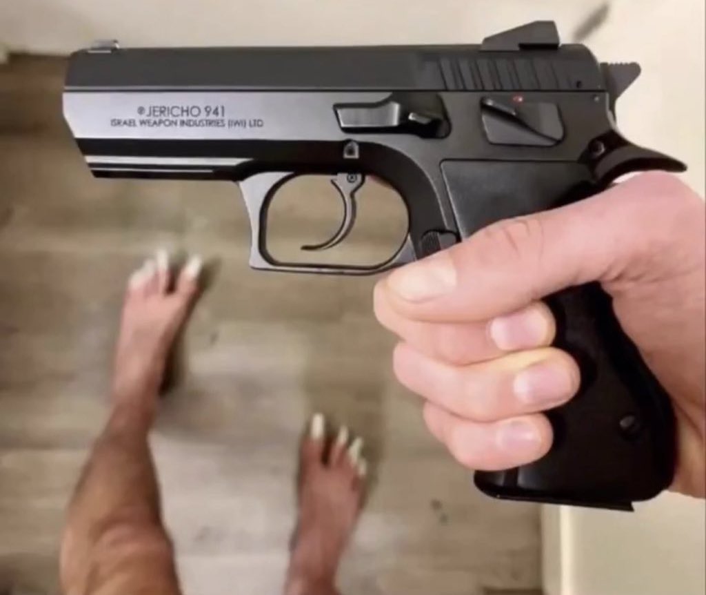 Guns Daily tweet media