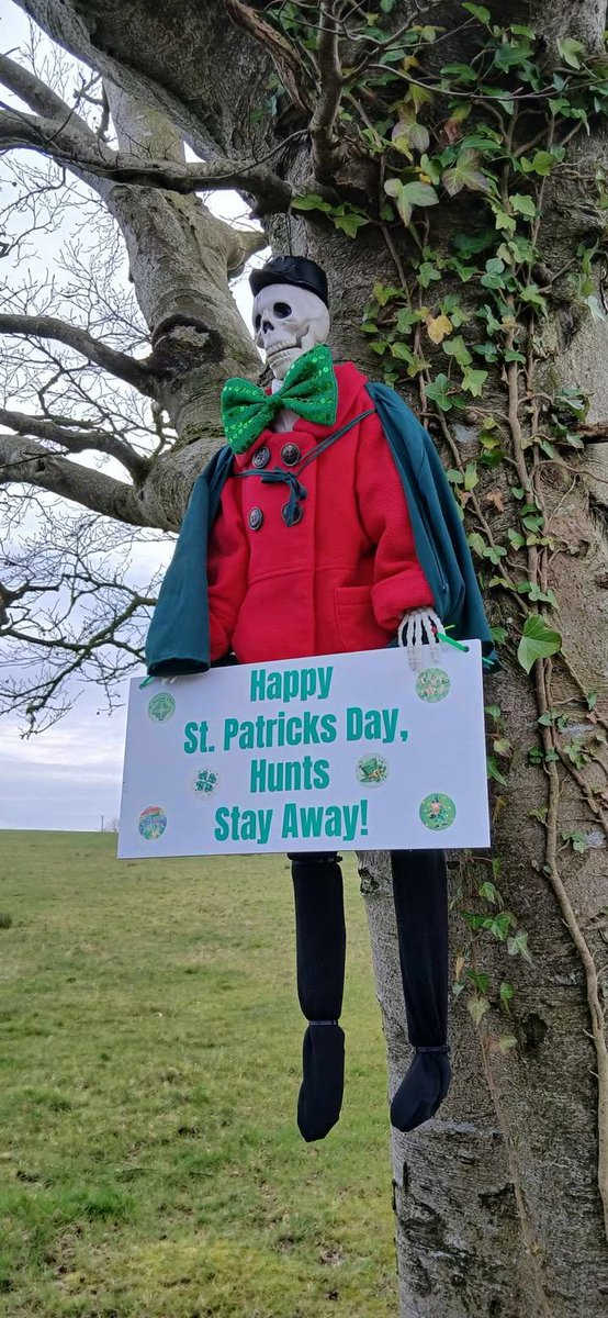 ༺⁺✮Foxy✮⁺༻㋡#TeamFoxNI #AntiHunting tweet media