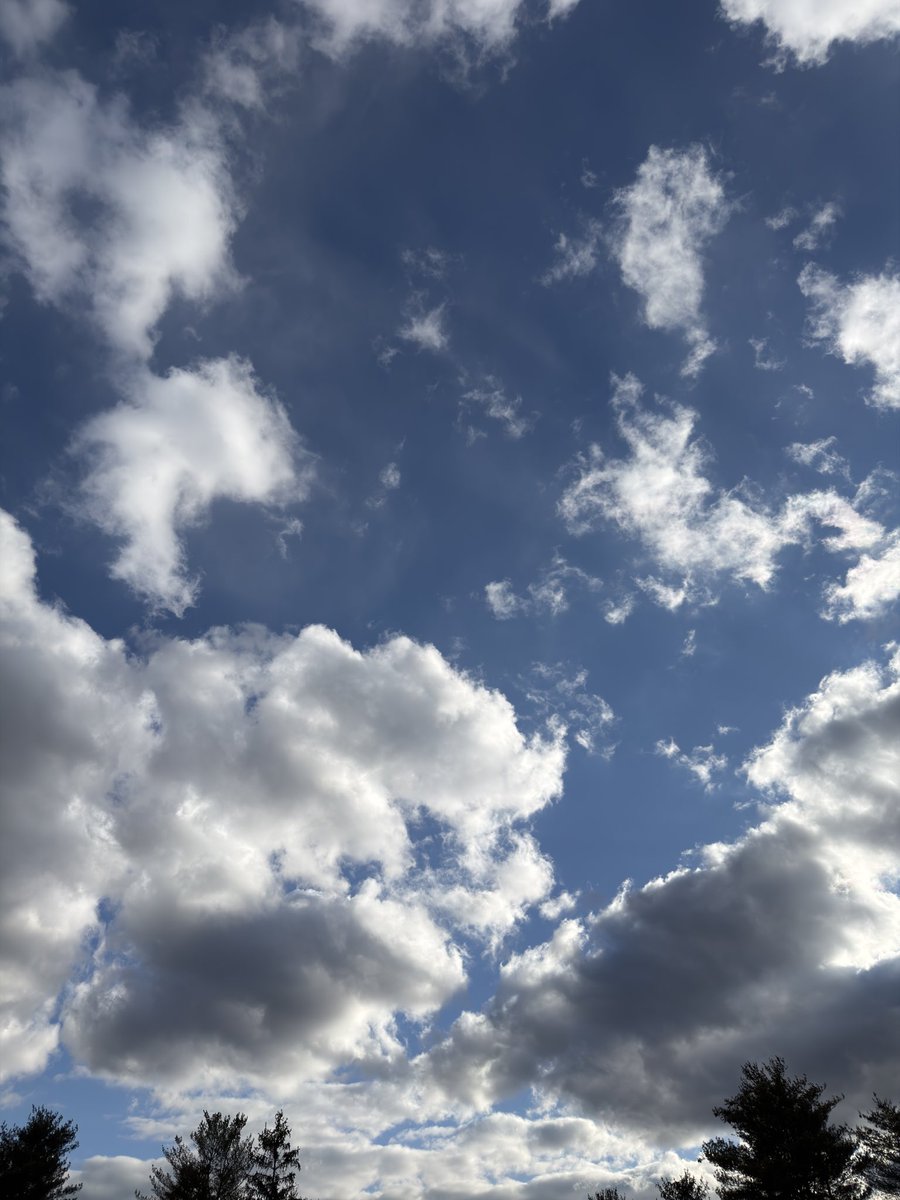 SIL 🌕💦 tweet media