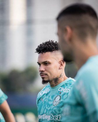 Palmeirazone tweet media