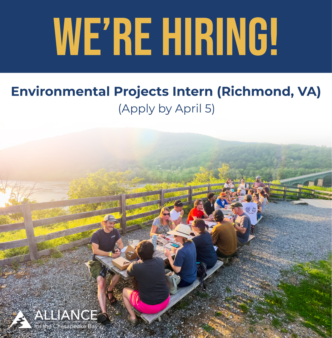 Alliance For The Bay tweet media