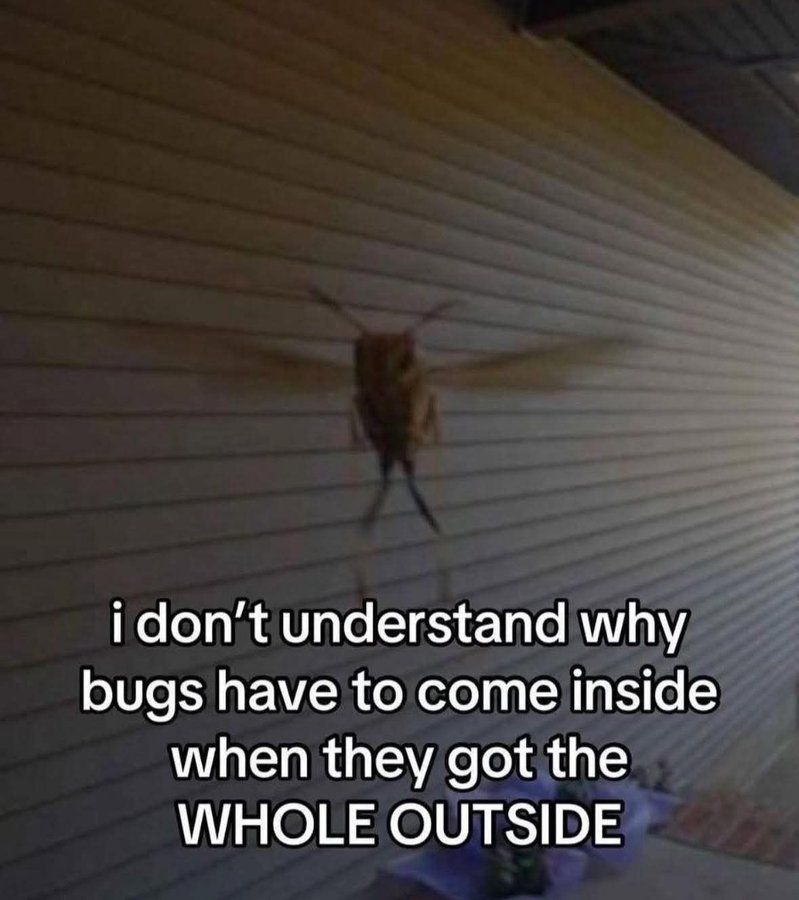 context memes (@weirddalleslop) on Twitter photo 