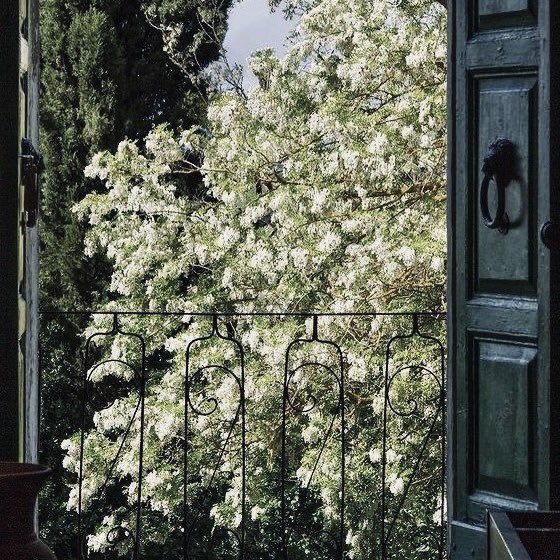 pjmot7's tweet photo. #jikokau | ABO | Entre as Páginas do Verão 

Grávido e decidido a criar seu filho sozinho, Jimin passa o verão na Itália longe de tudo. 

Até cruzar o caminho de Jungkook, um professor de literatura que fala em metáforas, escuta com calma e fica, mesmo quando não deveria. https://t.co/jNHCQSNqbL