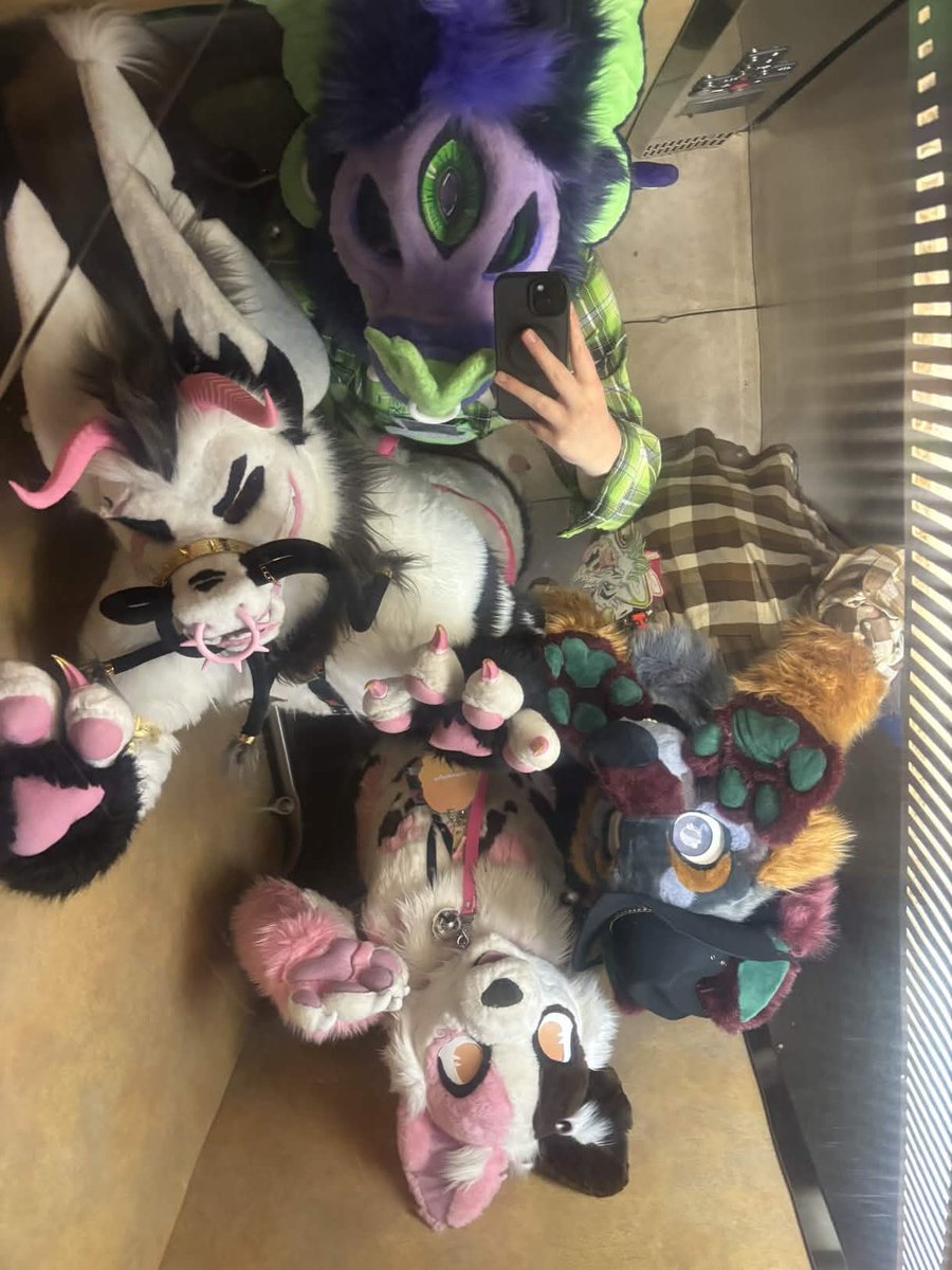 Amber “Red” Staley tweet media