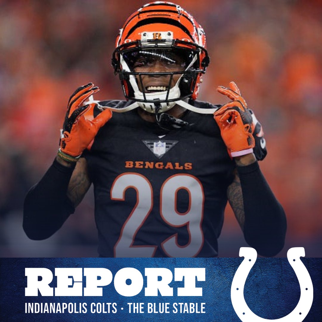 The Blue Stable tweet media