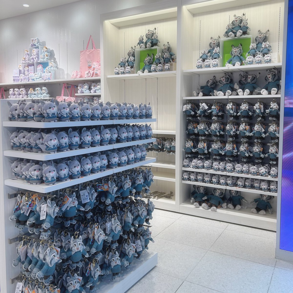 Pawbert Nation tweet media