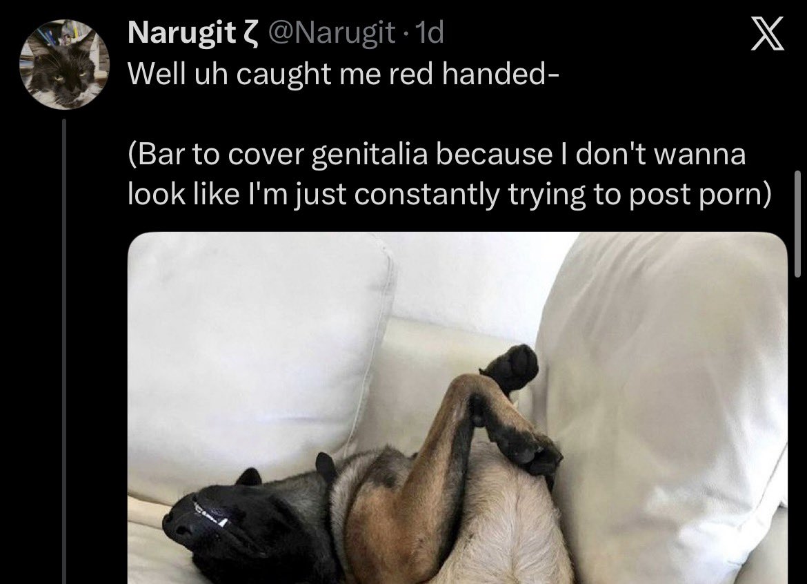 Pedo/Zoo Alerter tweet media