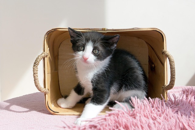 Sara Ramirez tweet media