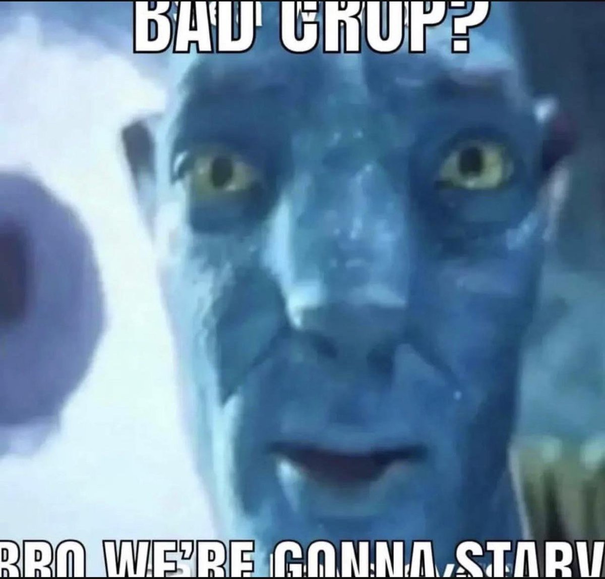 🌍 Terra - UEFN Experiences tweet media