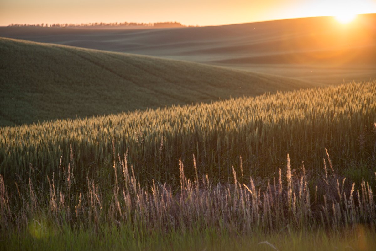 Pacific Northwest Waterways Association (PNWA) tweet media