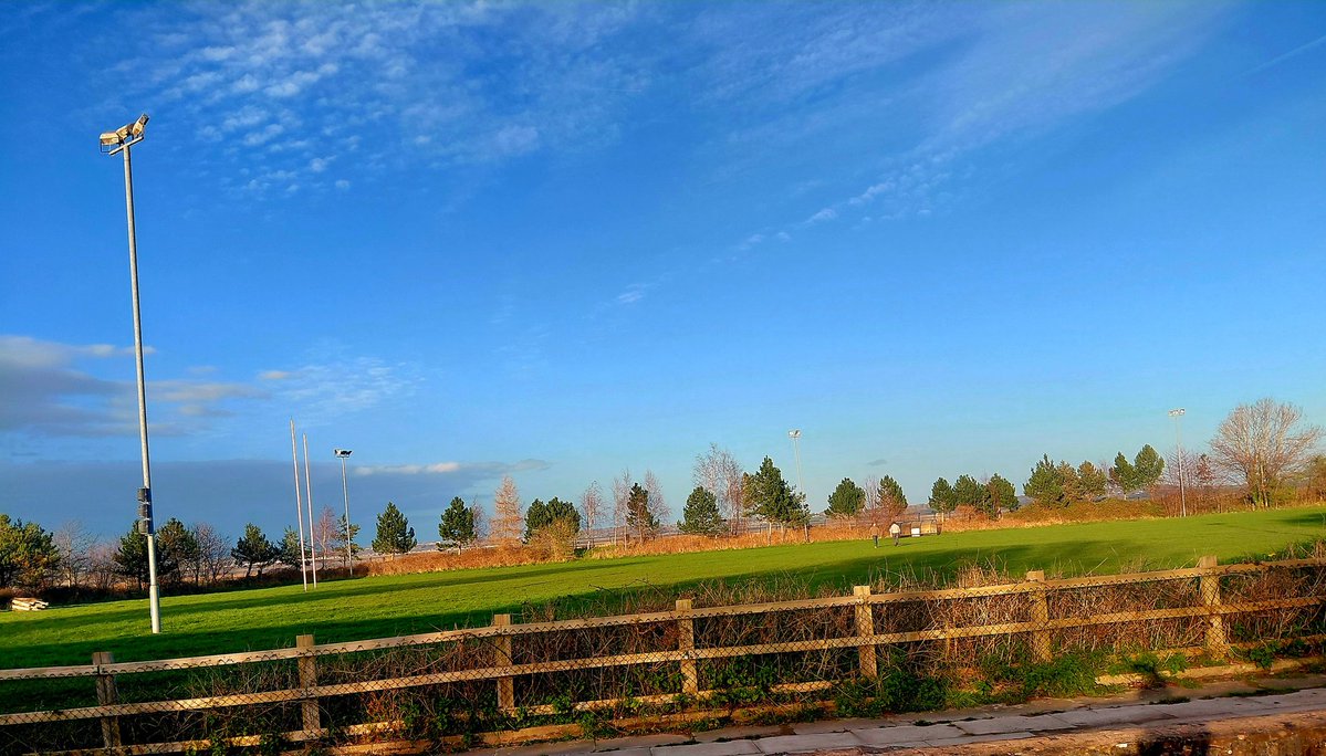 Faye Davies tweet media