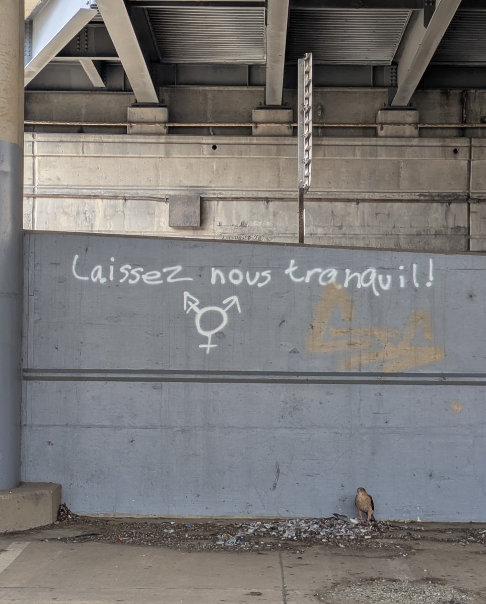 pghgraffiti tweet media