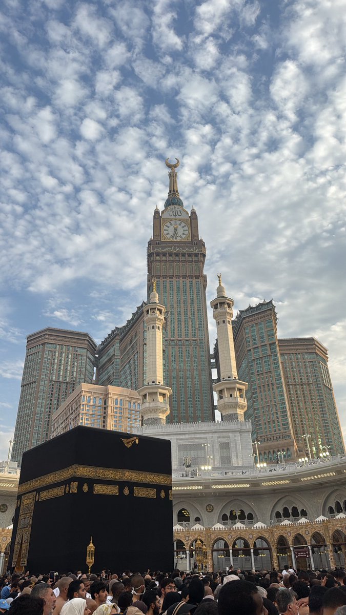 بسام الحمد tweet media