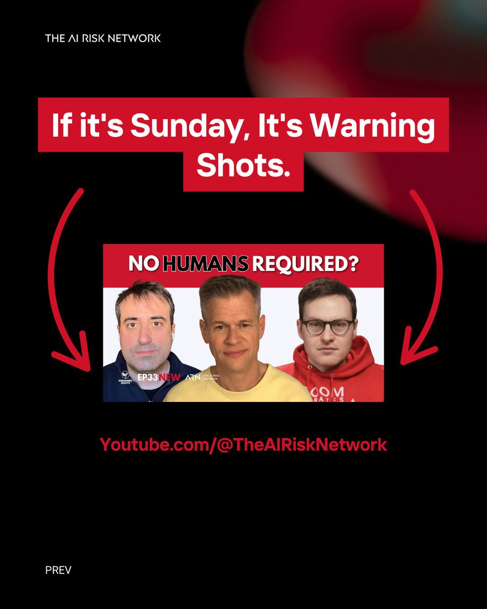 The AI Risk Network tweet media