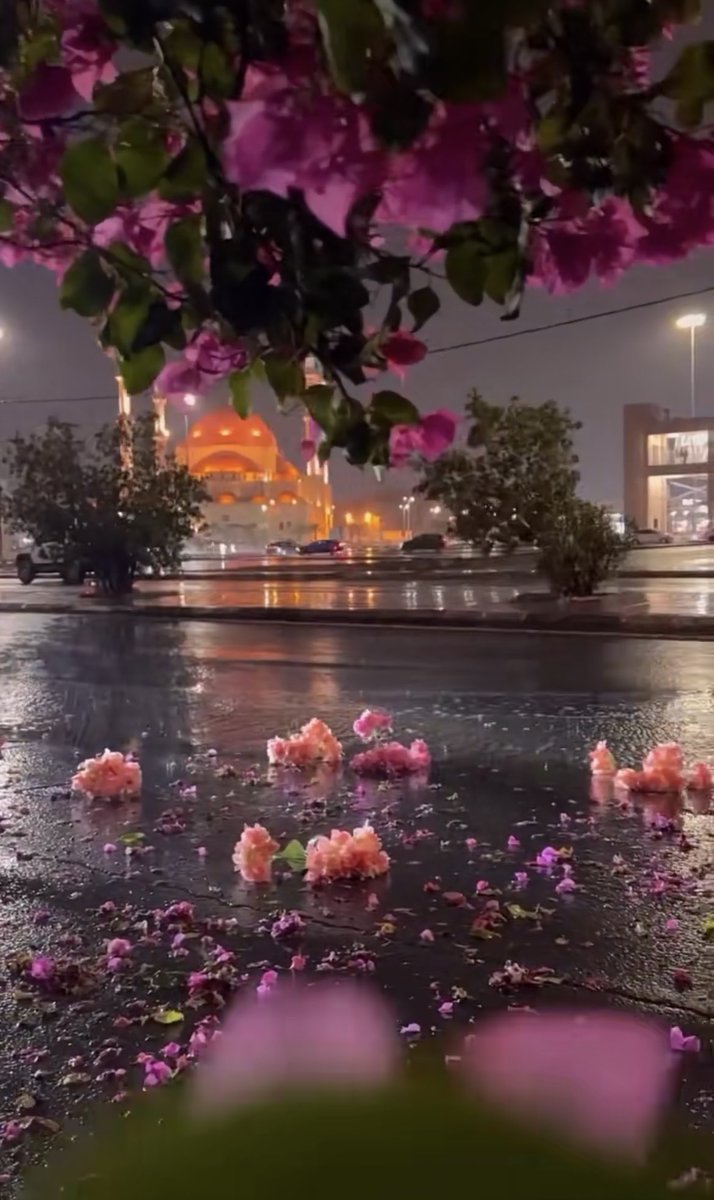 الأميره 👑🌹💕 tweet media