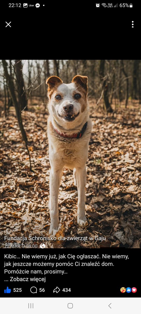 PiPi 💅 #silnaosobno tweet media